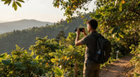 A National Park Surges In Global Coverage