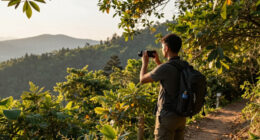 A National Park Surges In Global Coverage