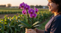 Costco’s $25 Floating Orchids Look Better Than A $500 Florist Arrangement
