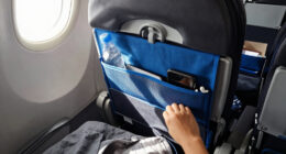 15 Best Airplane Seat Organizers for a Tidier Flight in 2027